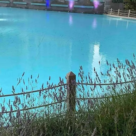 Fully Furnished , Luxury, Site With Pool Apartment Ankara